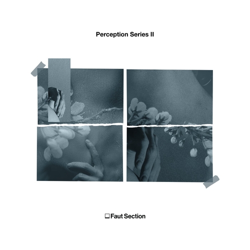 VA - Perception Series II [FAUT052]